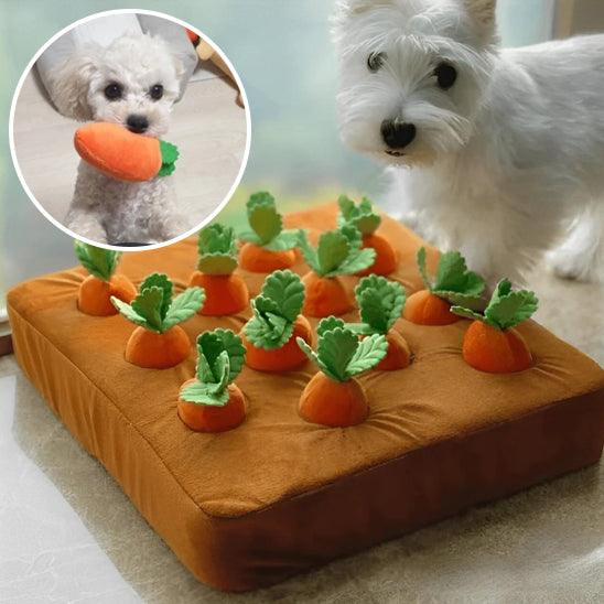 interactive-dog-toys-entertainement