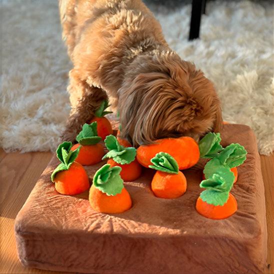 interactive-dog-toys-for-curiosity