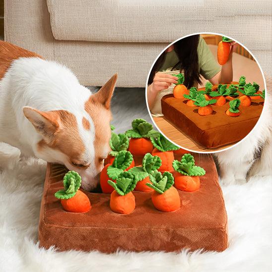 interactive-dog-toys-for-stimulation