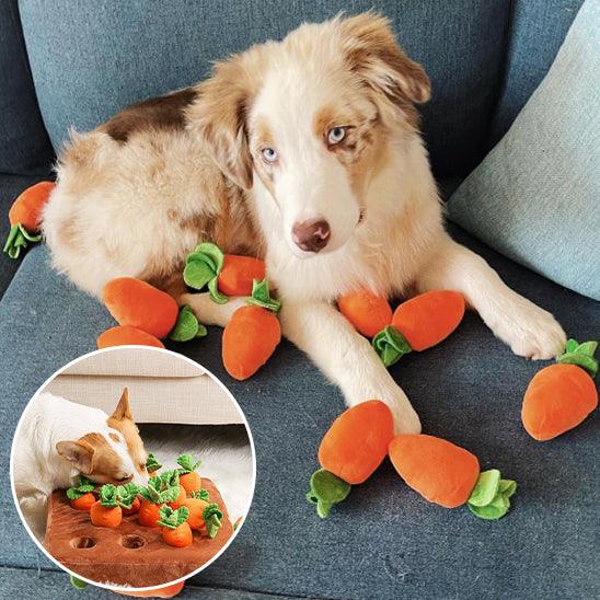 interactive-dog-toys-indoor-activity