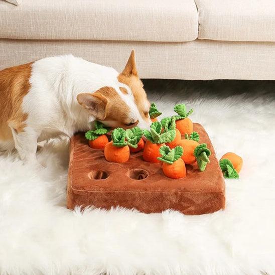 interactive-dog-toys-with-treats