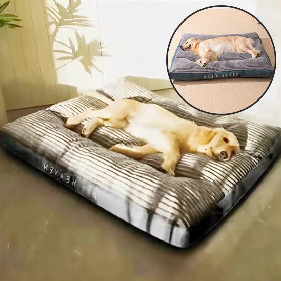 Large Dog Bed – Comfortable, Durable & Easy to Clean | Premium Quality - My Pet's Palace