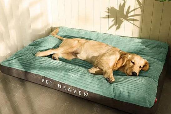 Large Dog Bed – Comfortable, Durable & Easy to Clean | Premium Quality - My Pet's Palace
