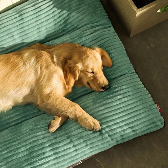 Large Dog Bed – Comfortable, Durable & Easy to Clean | Premium Quality - My Pet's Palace