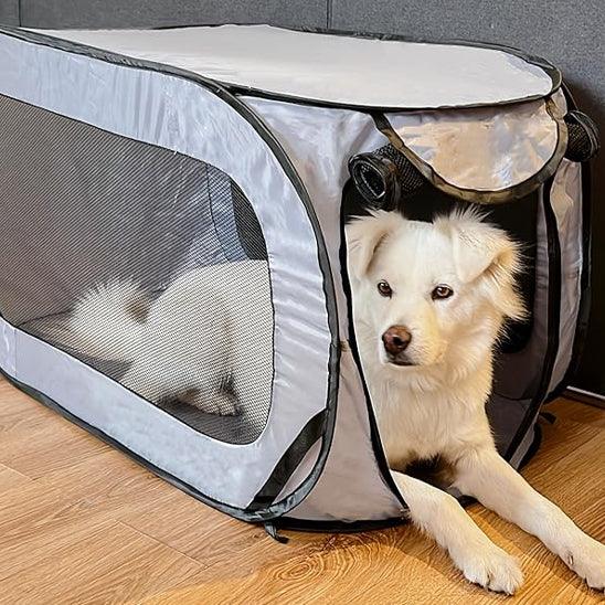 PetSafe™ Large Dog Crate – Spacious, Secure & Portable for All Breeds - My Pet's Palace