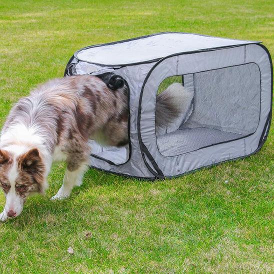 PetSafe™ Large Dog Crate – Spacious, Secure & Portable for All Breeds - My Pet's Palace
