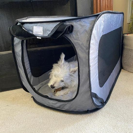 PetSafe™ Large Dog Crate – Spacious, Secure & Portable for All Breeds - My Pet's Palace
