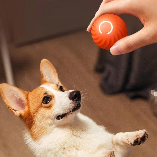Petsafe™ Interactive Dog Ball Toy – Smart Motion Fun for Active Pets - My Pet's Palace