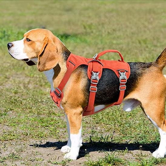 PetSafe® No-Pull Dog Harness – Ultimate Control & Comfort for Your Dog - My Pet's Palace