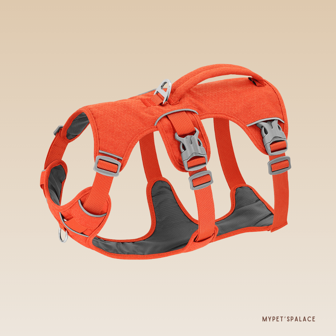 PetSafe® No-Pull Dog Harness – Ultimate Control & Comfort for Your Dog - My Pet's Palace