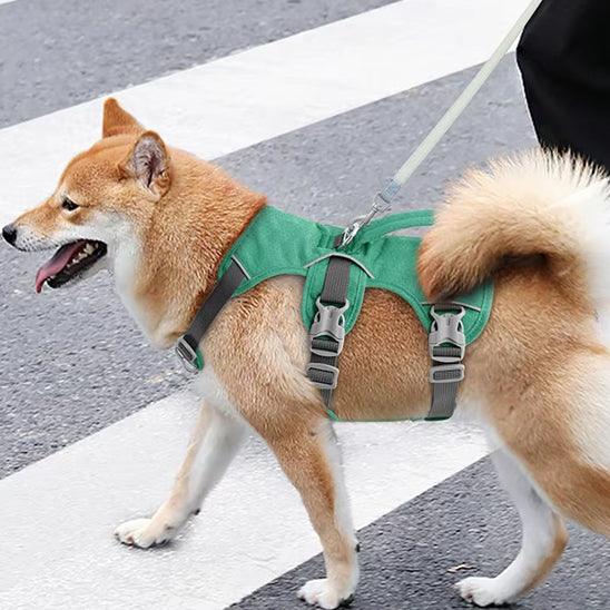 PetSafe® No-Pull Dog Harness – Ultimate Control & Comfort for Your Dog - My Pet's Palace
