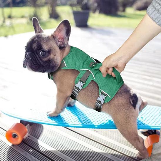 PetSafe® No-Pull Dog Harness – Ultimate Control & Comfort for Your Dog - My Pet's Palace