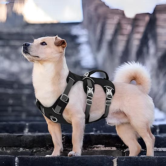 PetSafe® No-Pull Dog Harness – Ultimate Control & Comfort for Your Dog - My Pet's Palace