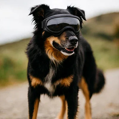PetSafe™ Premium Dog Goggles – Stylish UV Protection for Your Pup’s Adventures