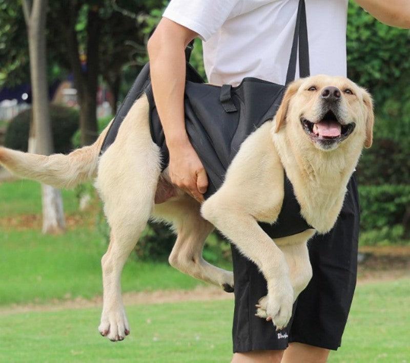 PetSafe™ Pet Carrier Bag for Dogs – Ultimate Comfort & Support for Your Dog’s Adventures - My Pet's Palace