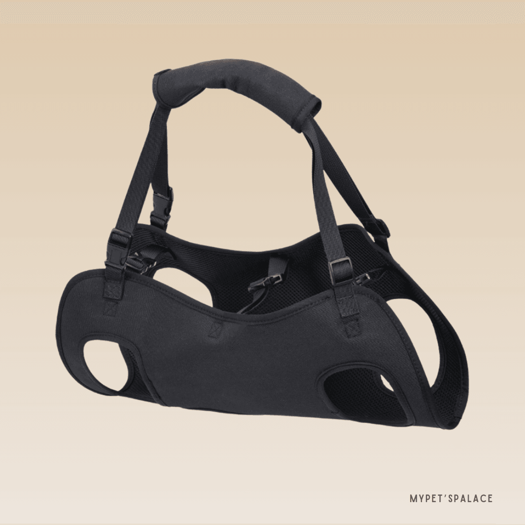 PetSafe™ Pet Carrier Bag for Dogs – Ultimate Comfort & Support for Your Dog’s Adventures - My Pet's Palace