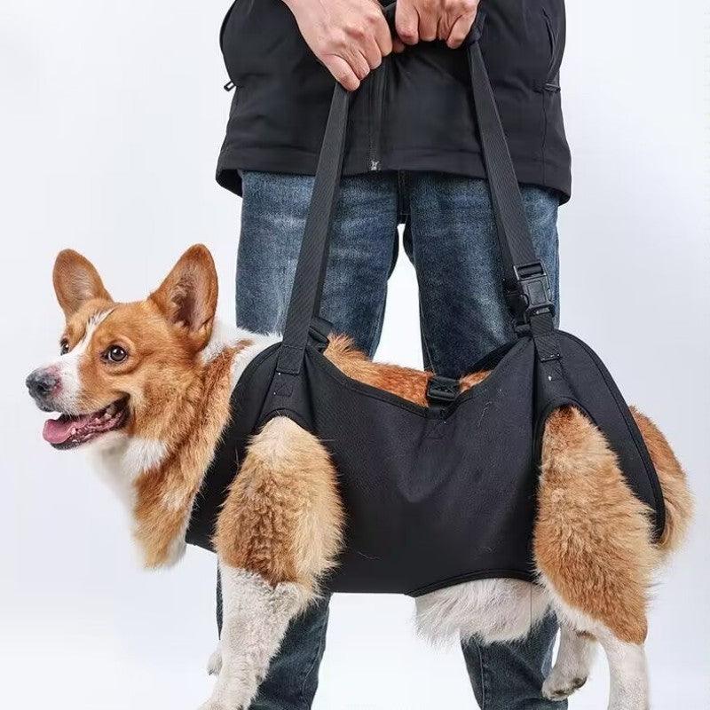 PetSafe™ Pet Carrier Bag for Dogs – Ultimate Comfort & Support for Your Dog’s Adventures - My Pet's Palace