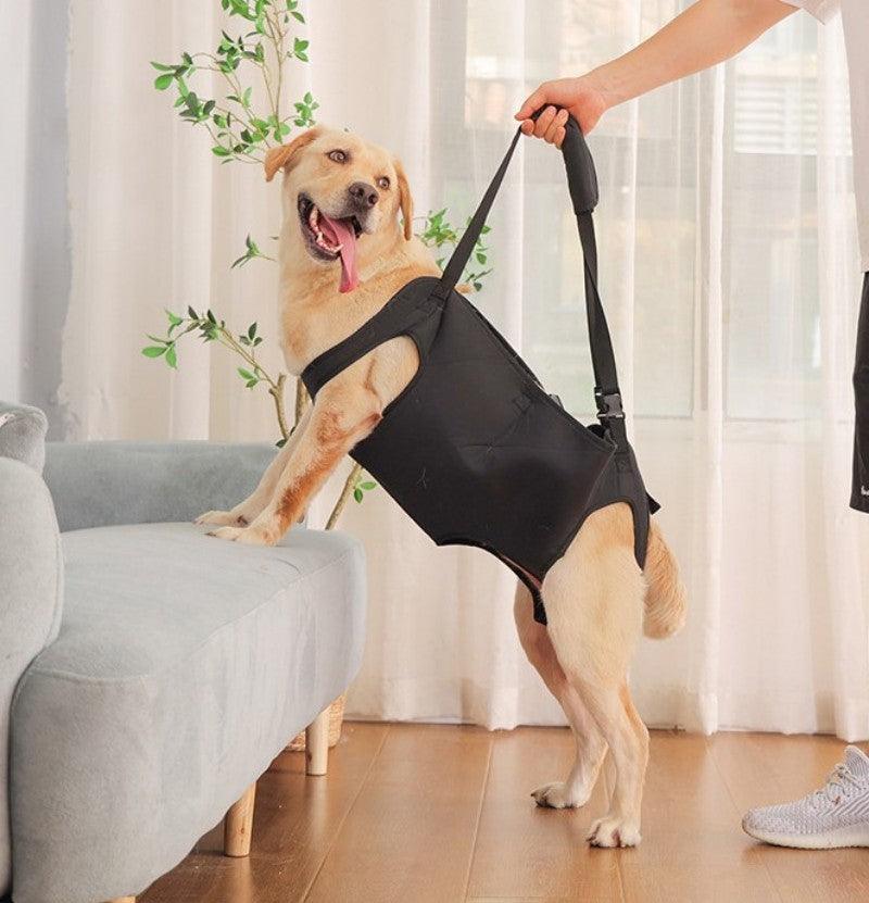PetSafe™ Pet Carrier Bag for Dogs – Ultimate Comfort & Support for Your Dog’s Adventures - My Pet's Palace