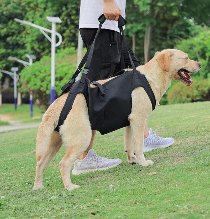 PetSafe™ Pet Carrier Bag for Dogs – Ultimate Comfort & Support for Your Dog’s Adventures - My Pet's Palace