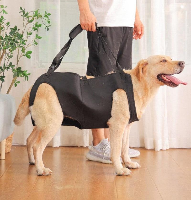 PetSafe™ Pet Carrier Bag for Dogs – Ultimate Comfort & Support for Your Dog’s Adventures - My Pet's Palace