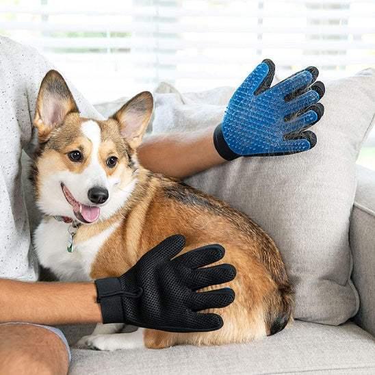 PetSafe™ Dog Grooming Gloves - Pet Hair Remover & Massage Tool - My Pet's Palace