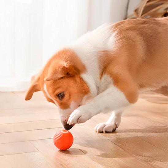 Petsafe™ Interactive Dog Ball Toy – Smart Motion Fun for Active Pets - My Pet's Palace