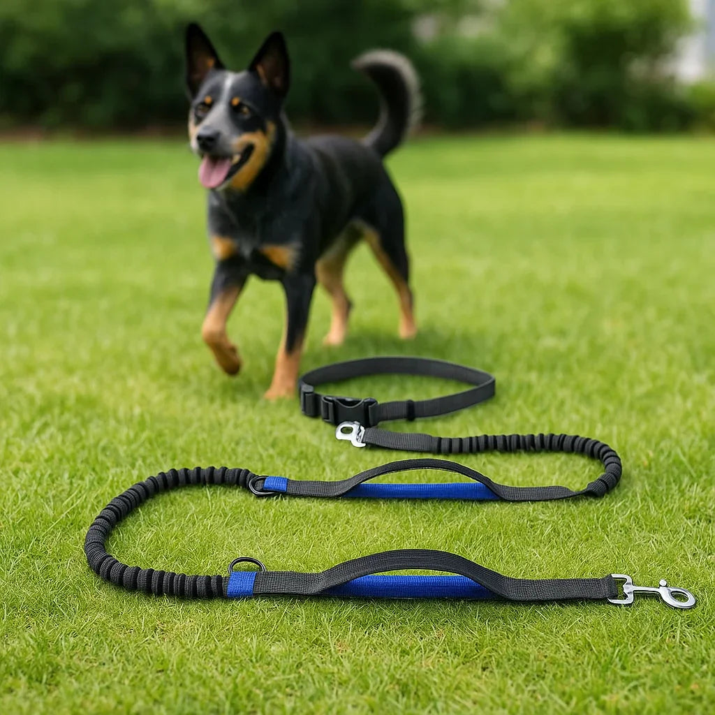 petsafe-adjustable-retractable-leash-comfort-all-dogs