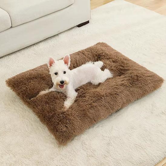PetSafe™ Soft Dog Bed House – A Warm, Cozy Sanctuary Your Dog Deserves - My Pet's Palace
