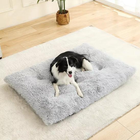 PetSafe™ Soft Dog Bed House – A Warm, Cozy Sanctuary Your Dog Deserves - My Pet's Palace