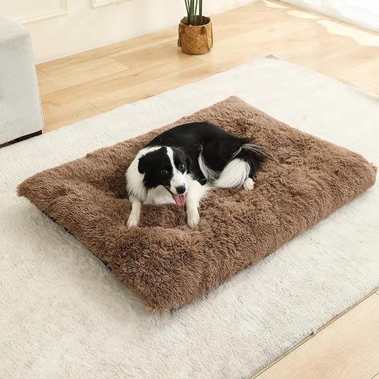 PetSafe™ Soft Dog Bed House – A Warm, Cozy Sanctuary Your Dog Deserves - My Pet's Palace