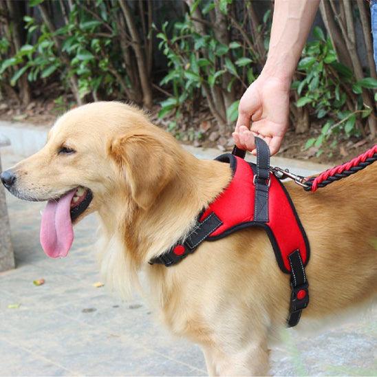 Petsafe™ No-Pull Reflective Dog Harness – Enjoy Every Walk, Hassle-Free - My Pet's Palace