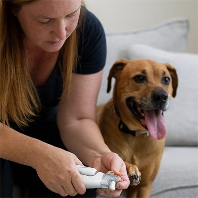 petsafe-led-dog-nail-trimmer-jpg