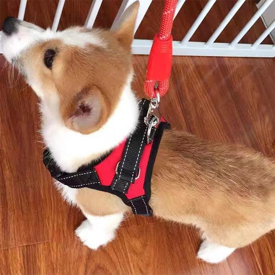 Petsafe™ No-Pull Reflective Dog Harness – Enjoy Every Walk, Hassle-Free - My Pet's Palace