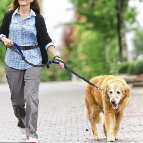 petsafe-retractable-hands-free-dog-leash-stylish-running-uk
