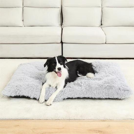 PetSafe™ Soft Dog Bed House – A Warm, Cozy Sanctuary Your Dog Deserves - My Pet's Palace