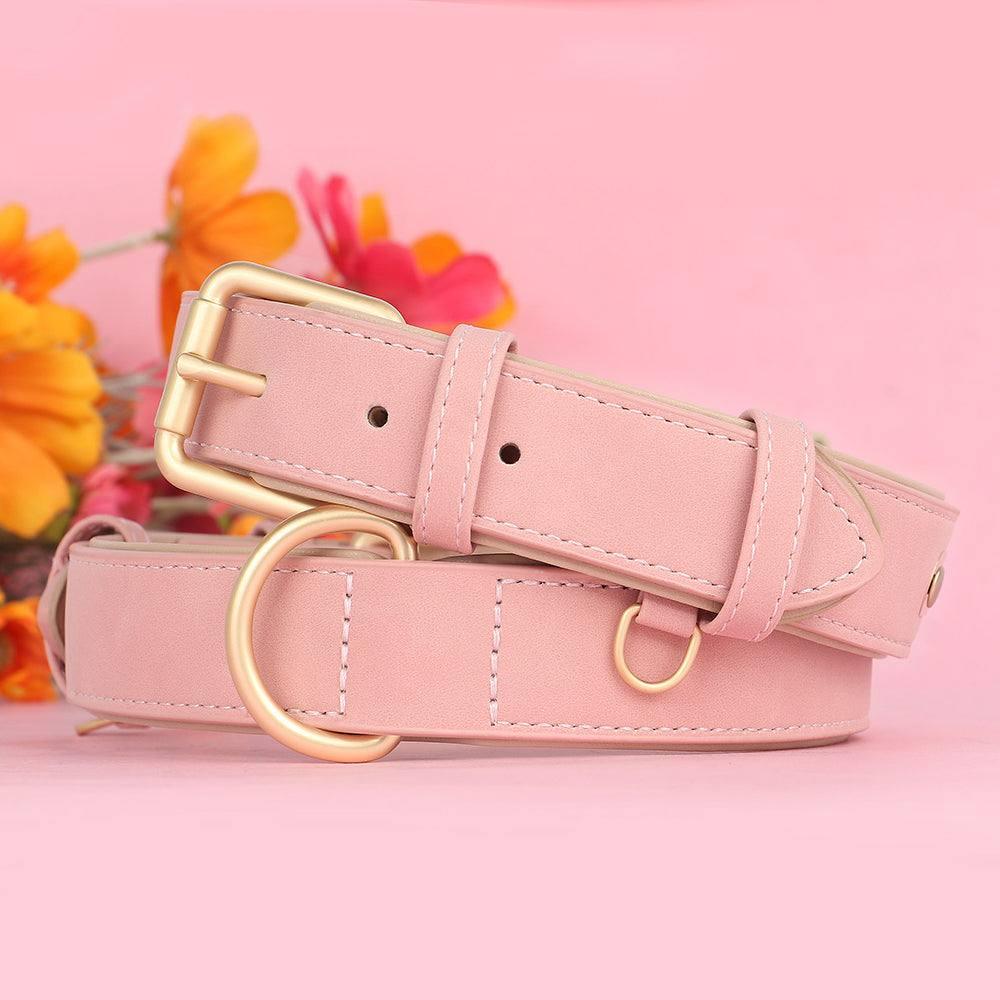 PetSafe™ Soft Padded Leather Dog Collar – Adjustable & Stylish - My Pet's Palace