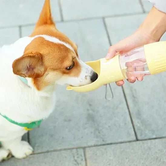 PetSafe™ Travel Water Bottle for Dogs – Fresh Water and Treats, Always Ready - My Pet's Palace