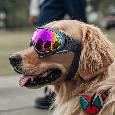 premium-dog-goggles-uv-protection-small-breeds-uk