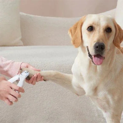 PetSafe™ LED Dog Nail Trimmer – Gentle, Safe & Precise Grooming - My Pet's Palace