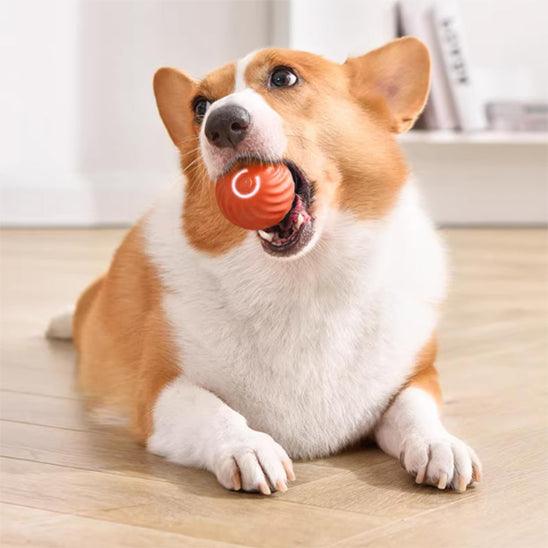 Petsafe™ Interactive Dog Ball Toy – Smart Motion Fun for Active Pets - My Pet's Palace