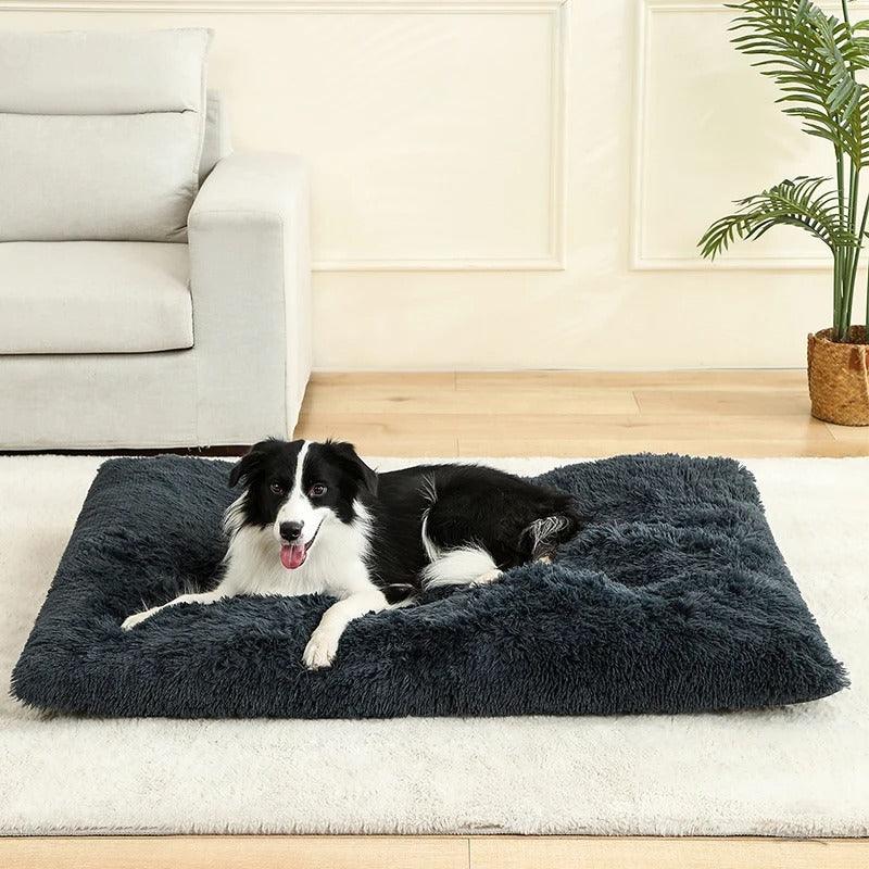 PetSafe™ Soft Dog Bed House – A Warm, Cozy Sanctuary Your Dog Deserves - My Pet's Palace