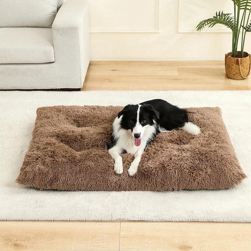 PetSafe™ Soft Dog Bed House – A Warm, Cozy Sanctuary Your Dog Deserves - My Pet's Palace