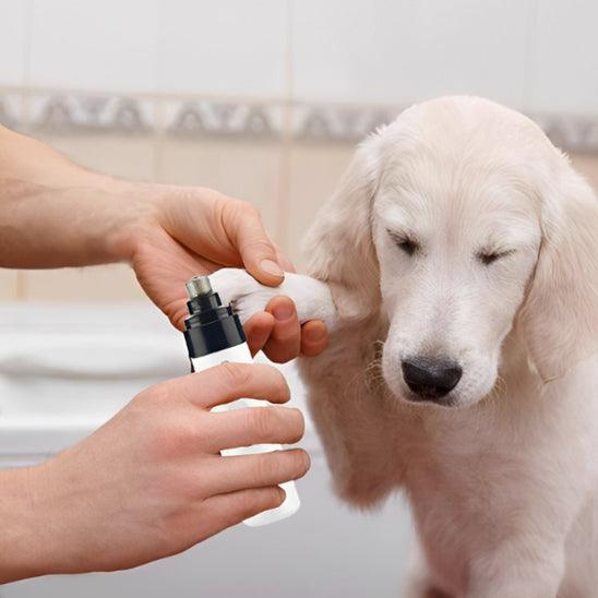Petsafe™ Trimmer for Dog Nails – Quiet, Safe, and Stress-Free Grooming - My Pet's Palace