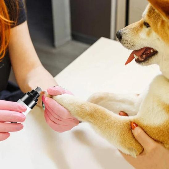 Petsafe™ Trimmer for Dog Nails – Quiet, Safe, and Stress-Free Grooming - My Pet's Palace