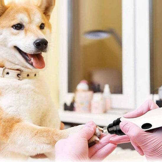 Petsafe™ Trimmer for Dog Nails – Quiet, Safe, and Stress-Free Grooming - My Pet's Palace