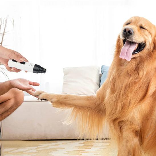 Petsafe™ Trimmer for Dog Nails – Quiet, Safe, and Stress-Free Grooming - My Pet's Palace