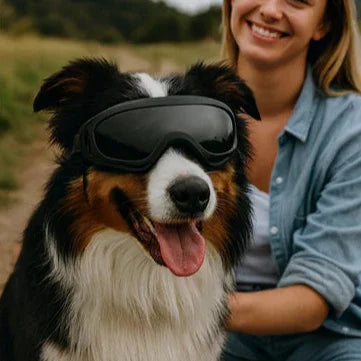 uv-blocking-dog-sunglasses-stylish-safety-uk-women