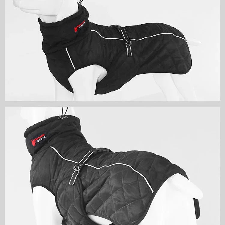 PetSafe™ Dog Winter Coat – Cozy Protection for Cold Walks - My Pet's Palace