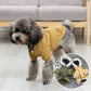 Premium Dog Coat™ – Keep Your Dog Warm & Stylish This Winter - My Pet's Palace