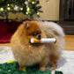 PetSafe™ - Indestructible Dog Toys Built for Power Chewers Who Never Quit - My Pet's Palace